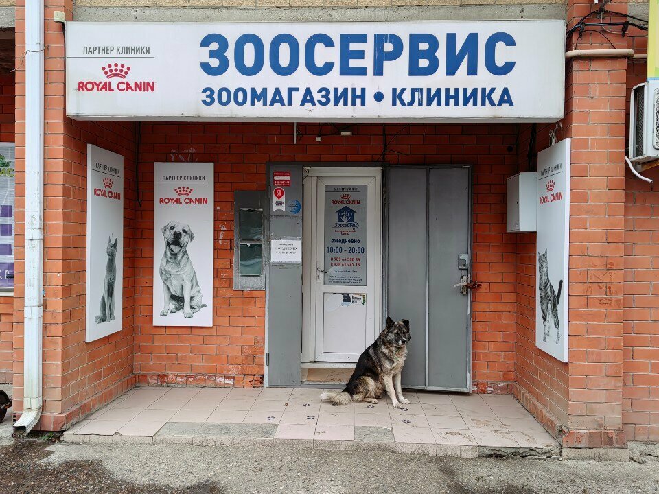 Фото клиники Зоосервис