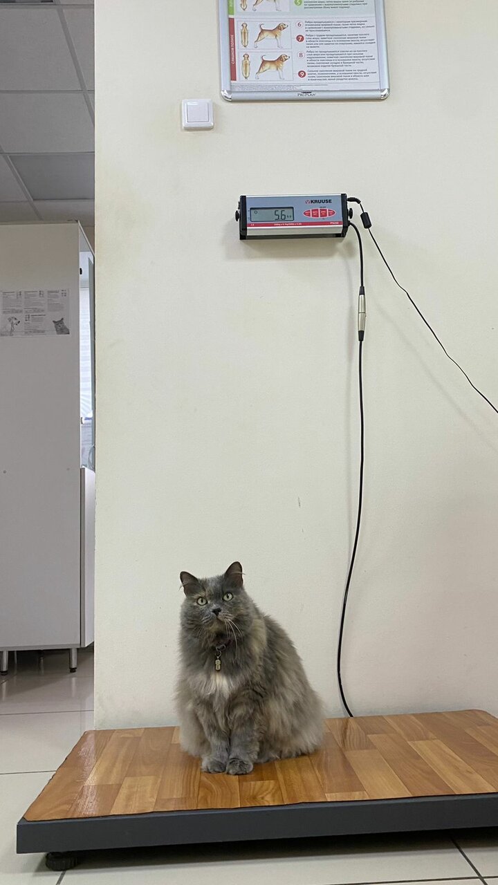 more clinic photos 50542