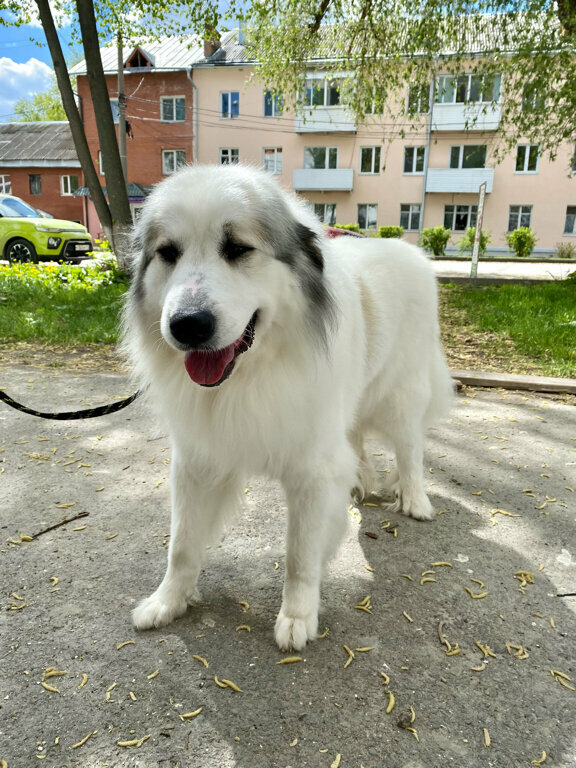 Фото клиники 37770