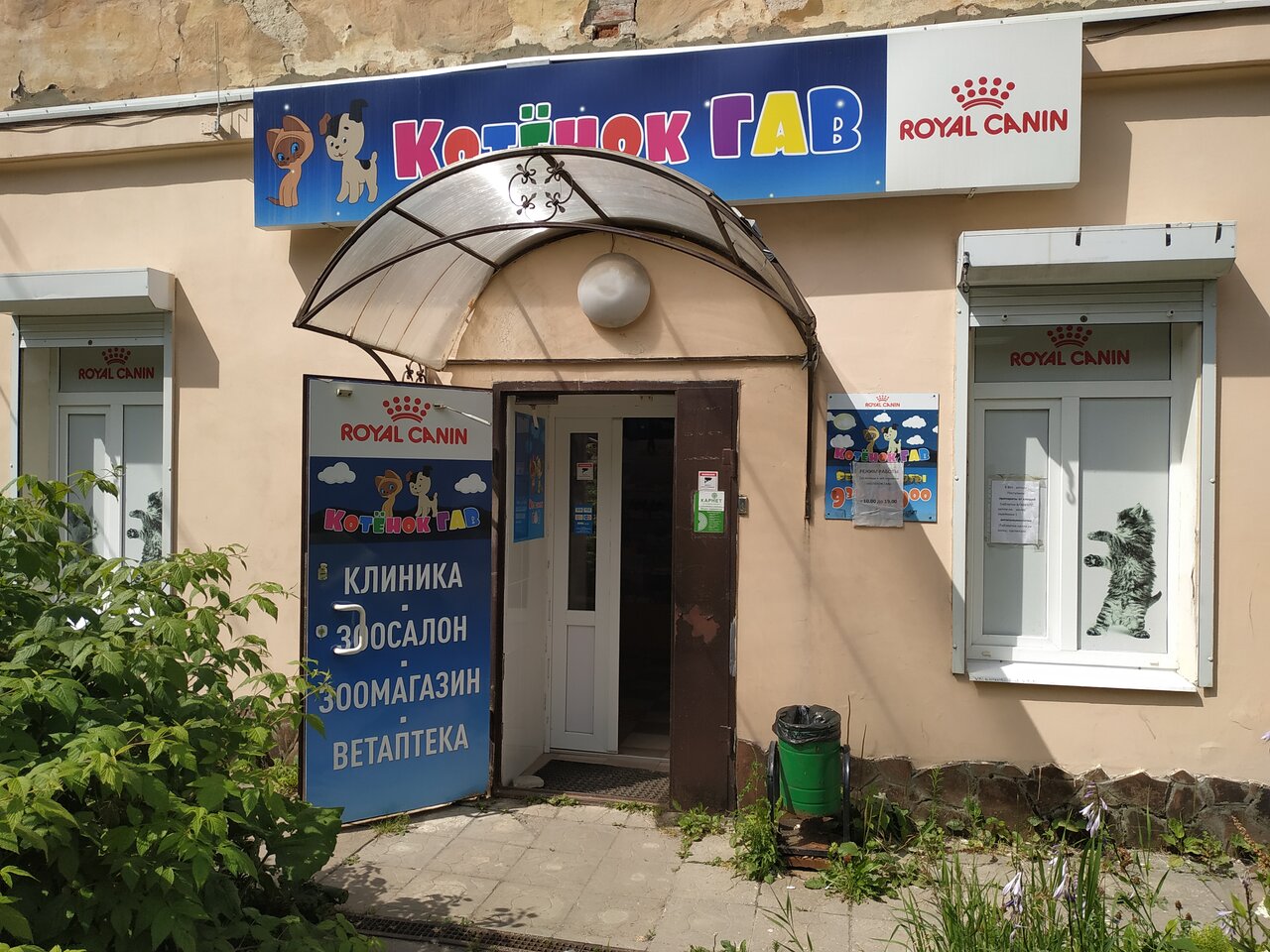 Котёнок Гав