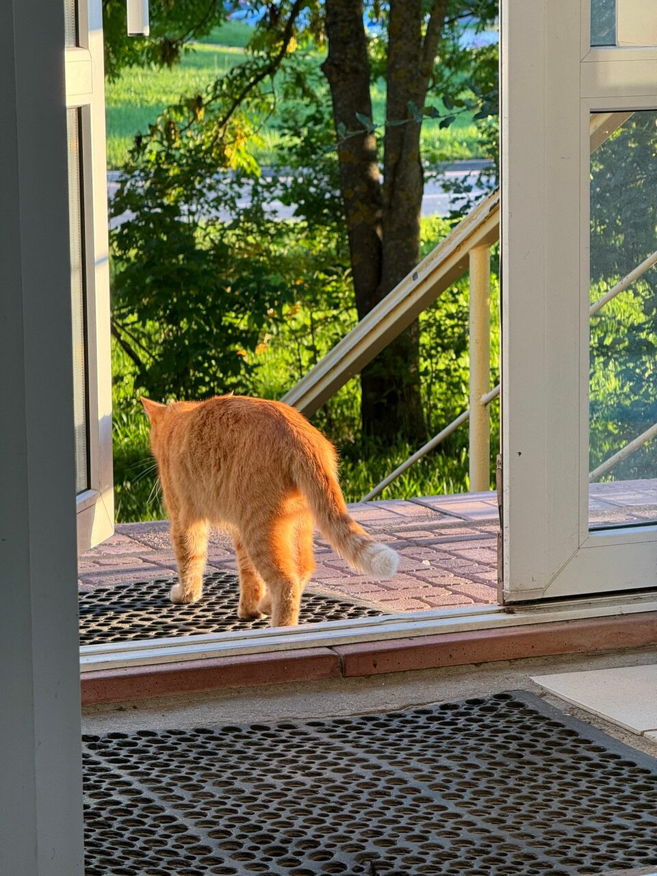 Фото клиники 47837