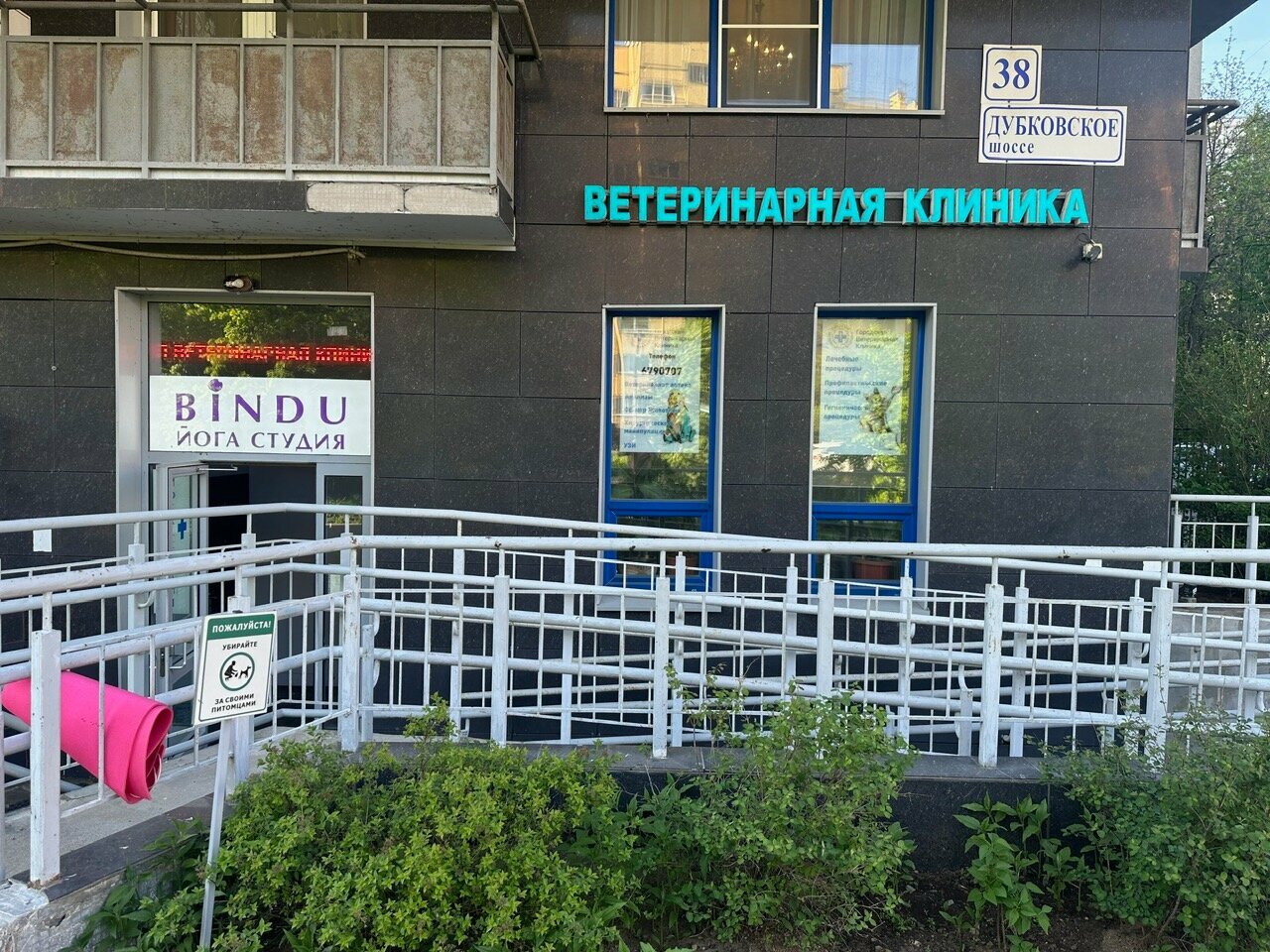 Городская ветеринарная клиника