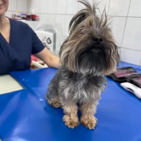 clinic general image