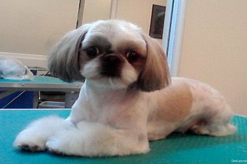 more clinic photos 41138