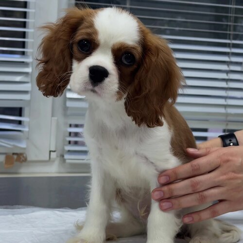 clinic general image