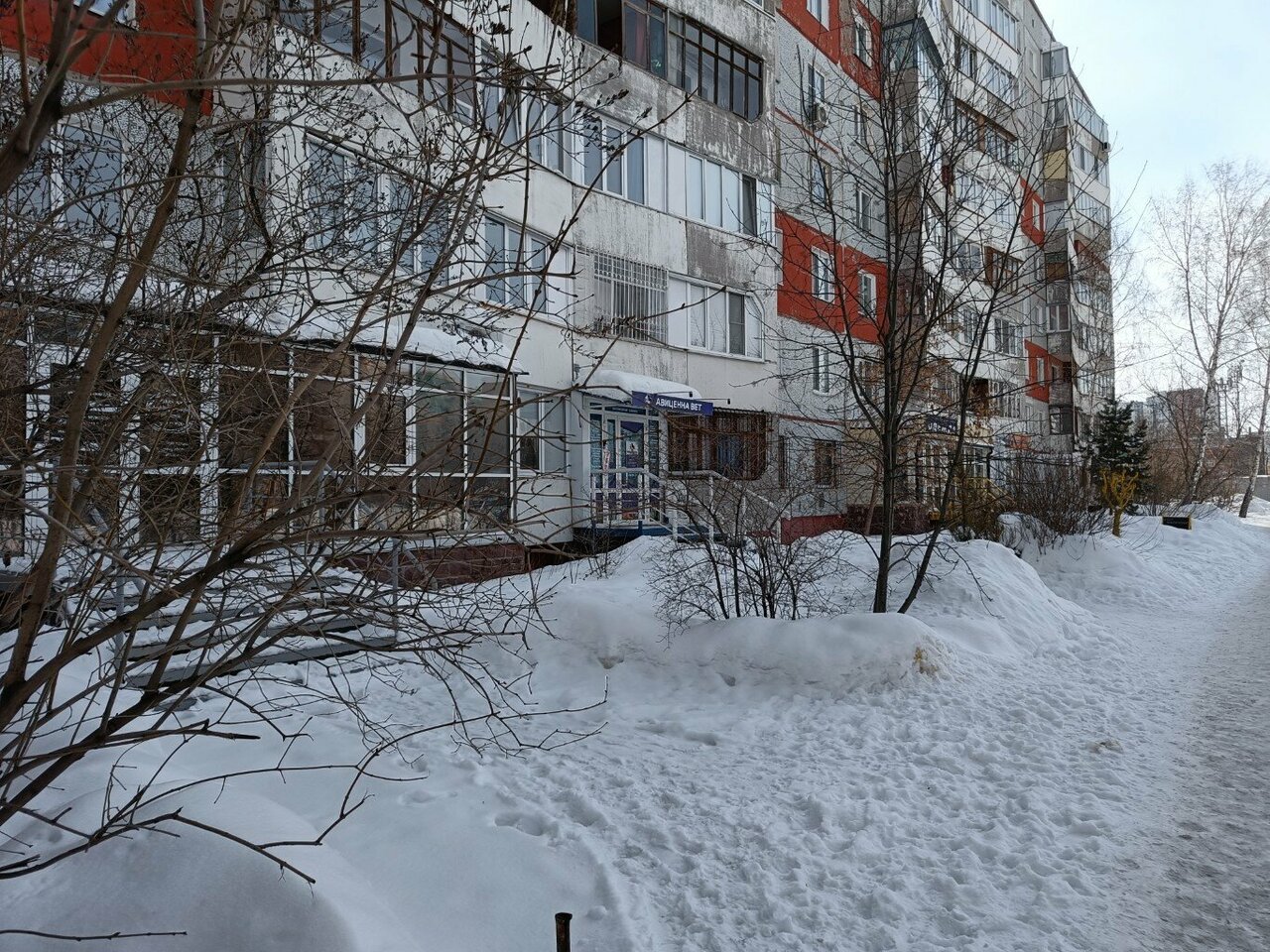 Фото «Авиценна»