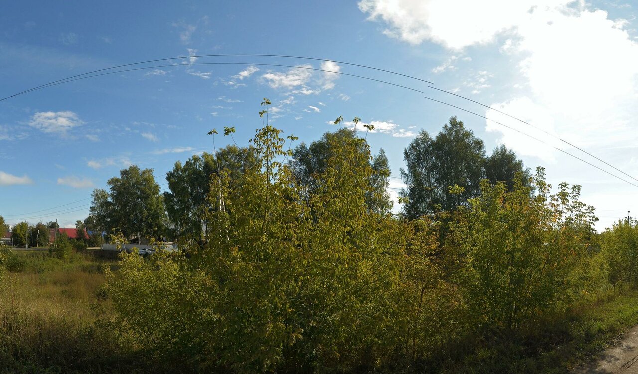 Ветклиника