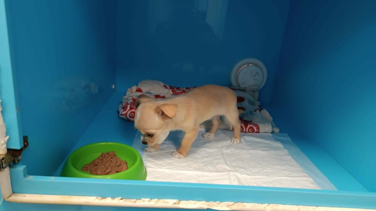 more clinic photos 21375