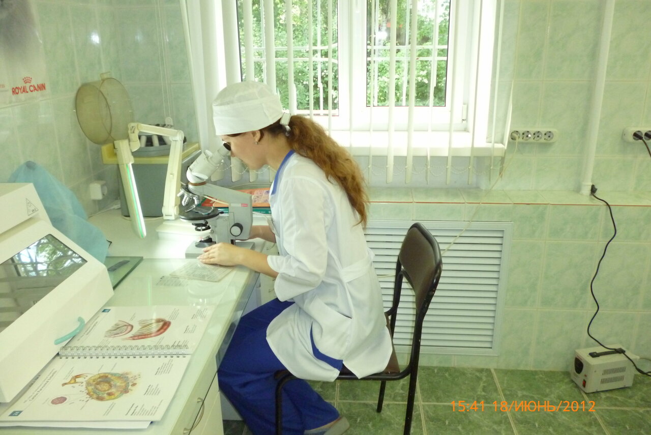 more clinic photos 15444