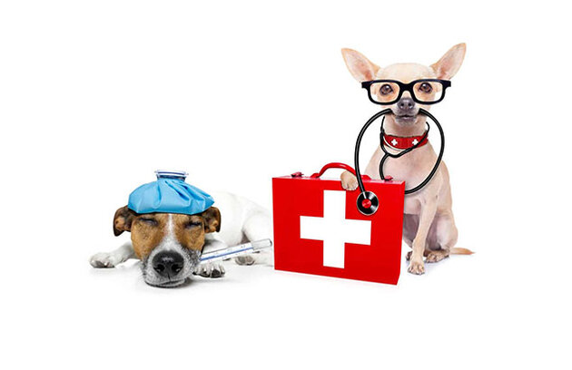 clinic general image