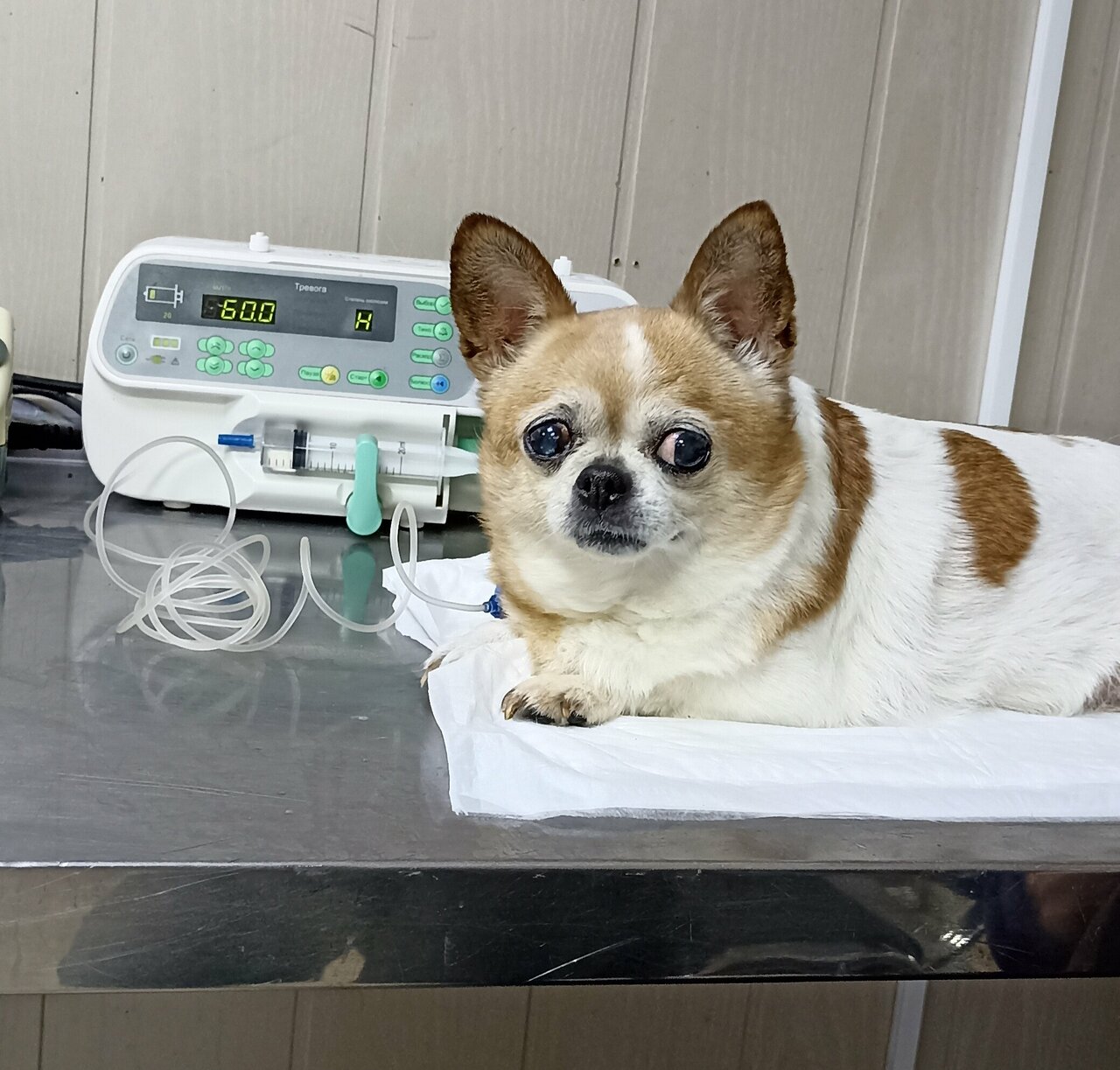 more clinic photos 31740