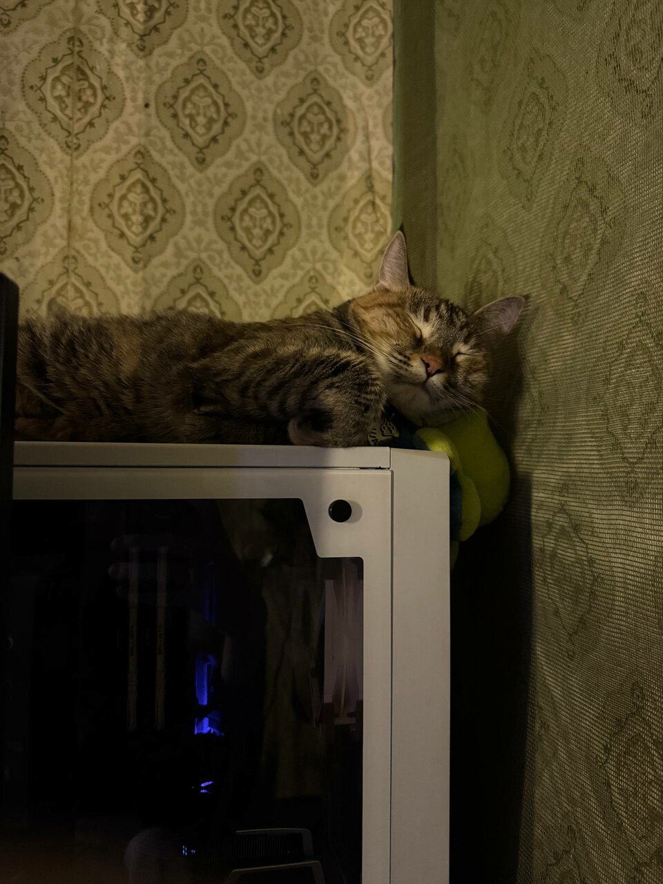 more clinic photos 3326