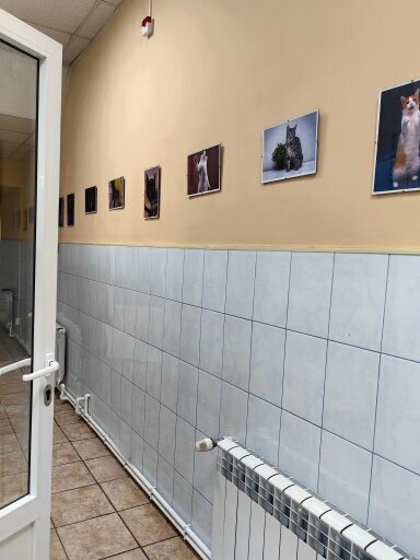 Фото клиники 84720