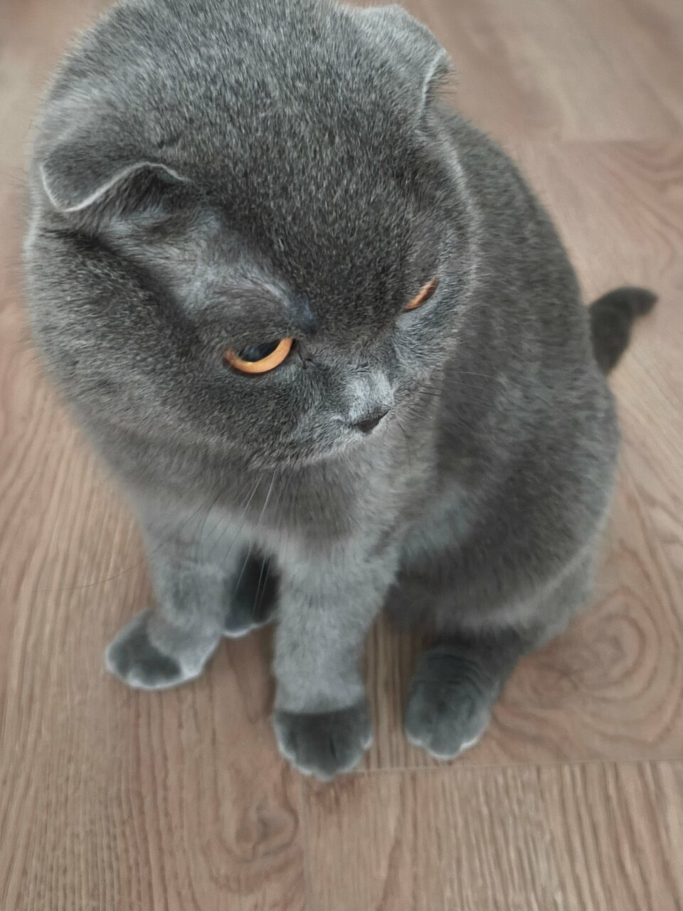 Фото клиники 7070