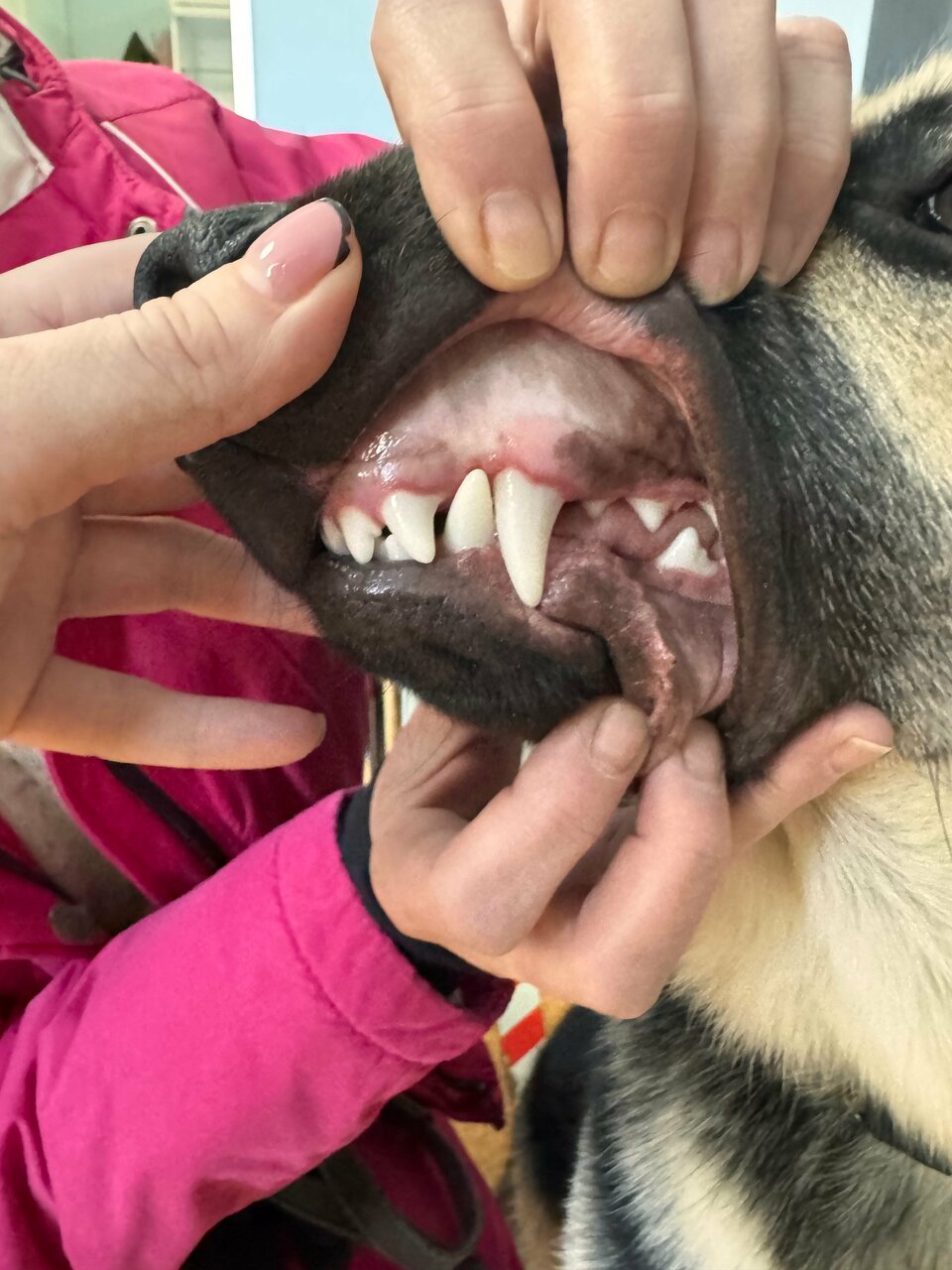 more clinic photos 14738