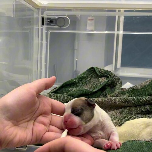 clinic general image