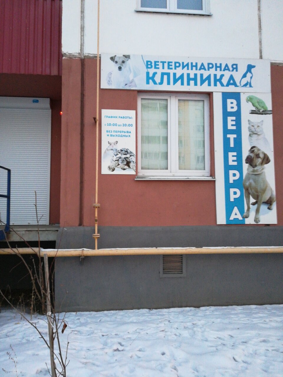 Фото клиники 1694