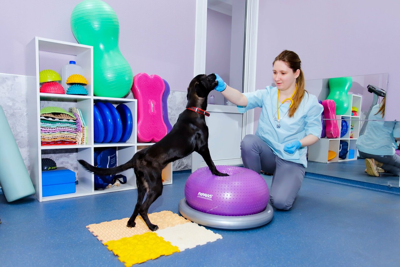 more clinic photos 6670