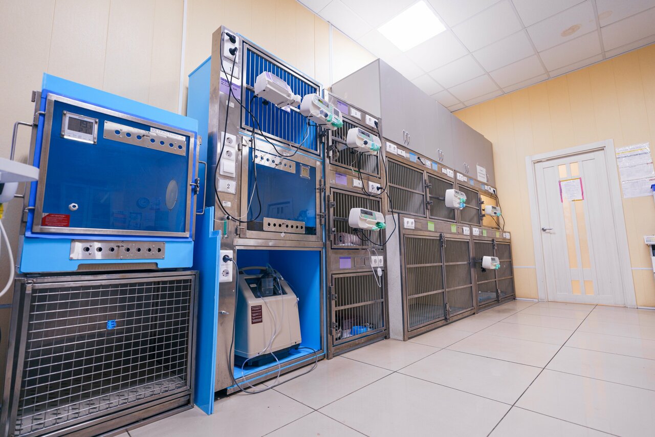 more clinic photos 11316