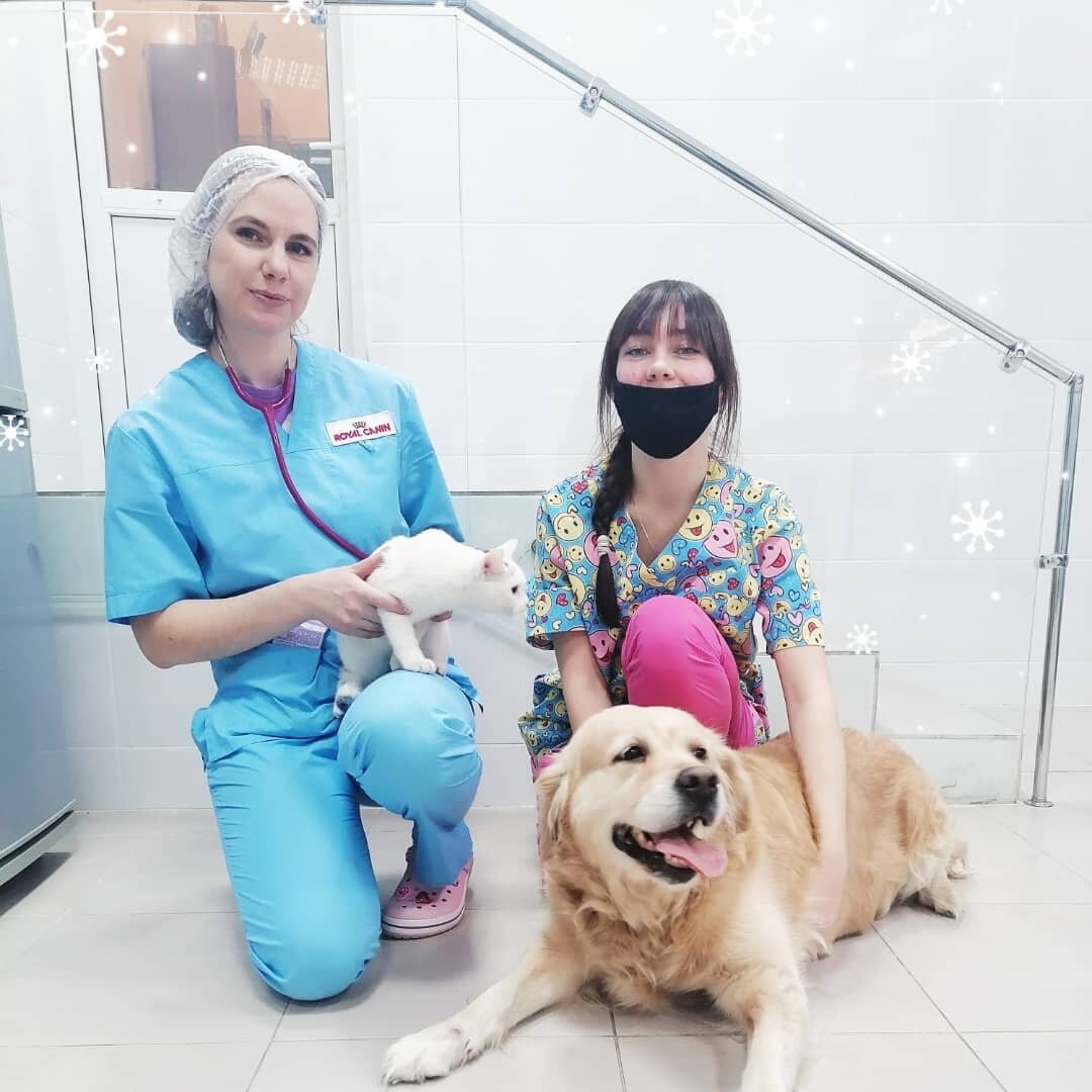 Сортавальская ветеринарная станция