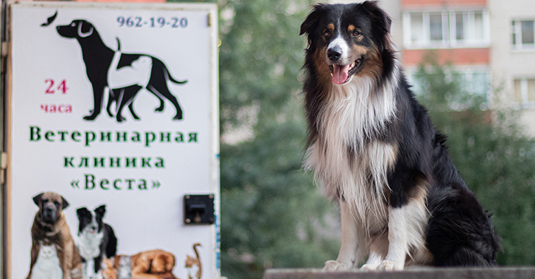Главное фото клиники