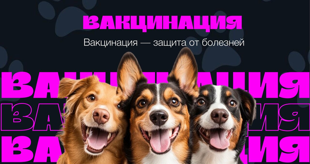 Фото «Ветеринарная клиника доктора Синкевич»