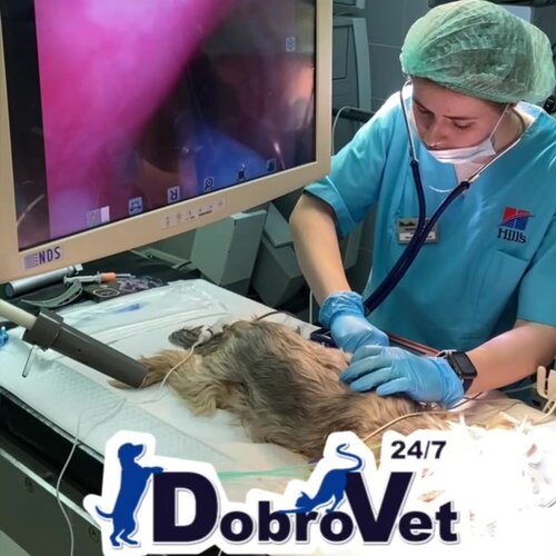 clinic general image