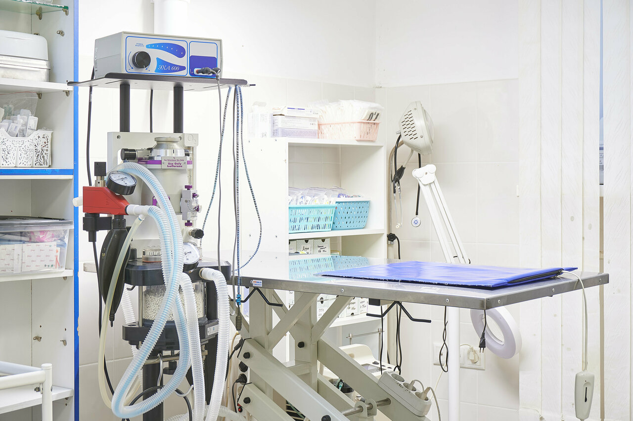 more clinic photos 4776