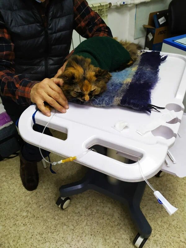 more clinic photos 58874