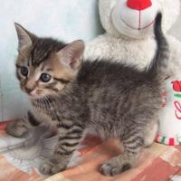 Логотип клиники