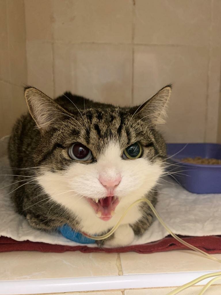 more clinic photos 14090