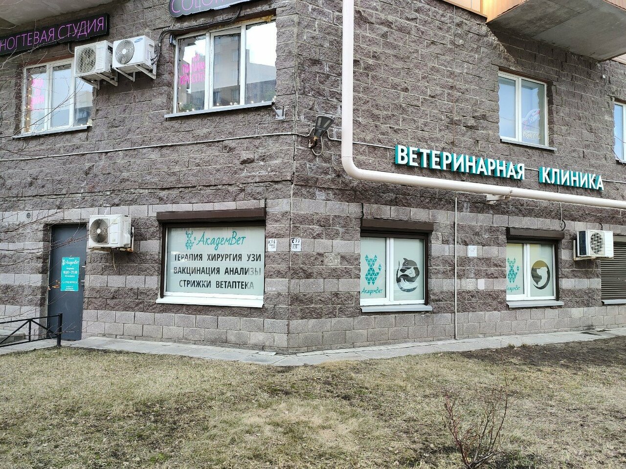 Фото «АкадемВет»