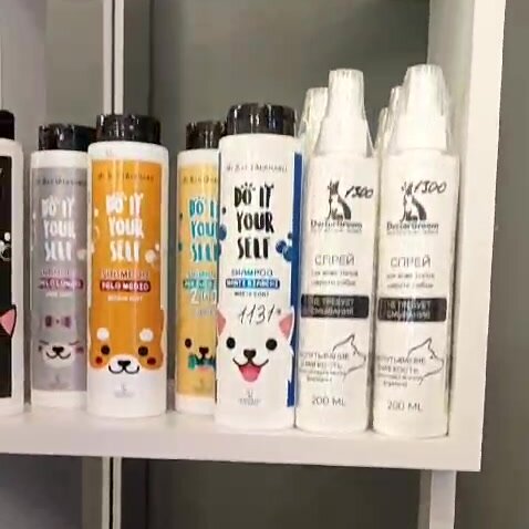 ЗооДент & Груминг