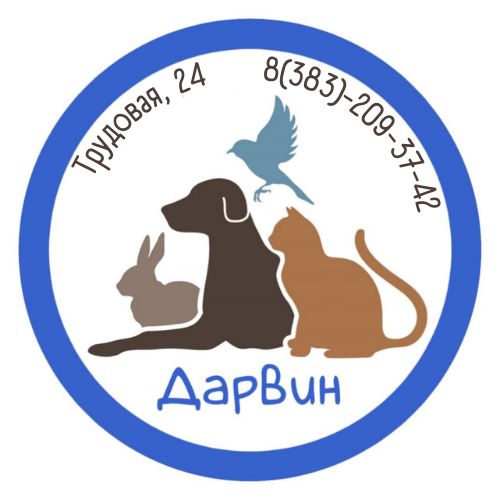 Логотип клиники