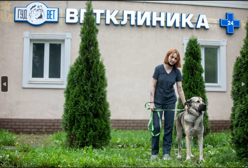 Фото клиники 68392