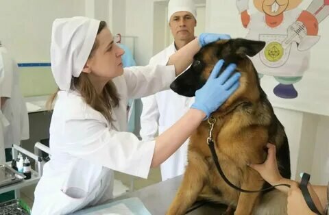 clinic general image