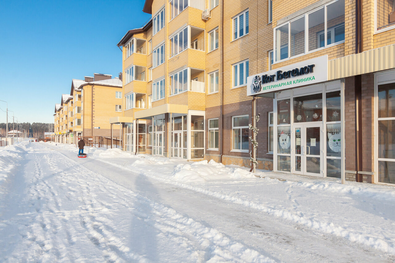 Кот Бегемот