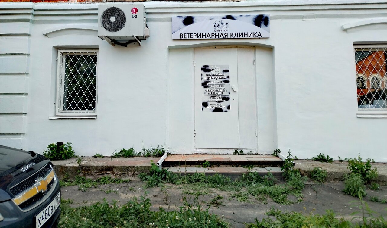 101 далматинец