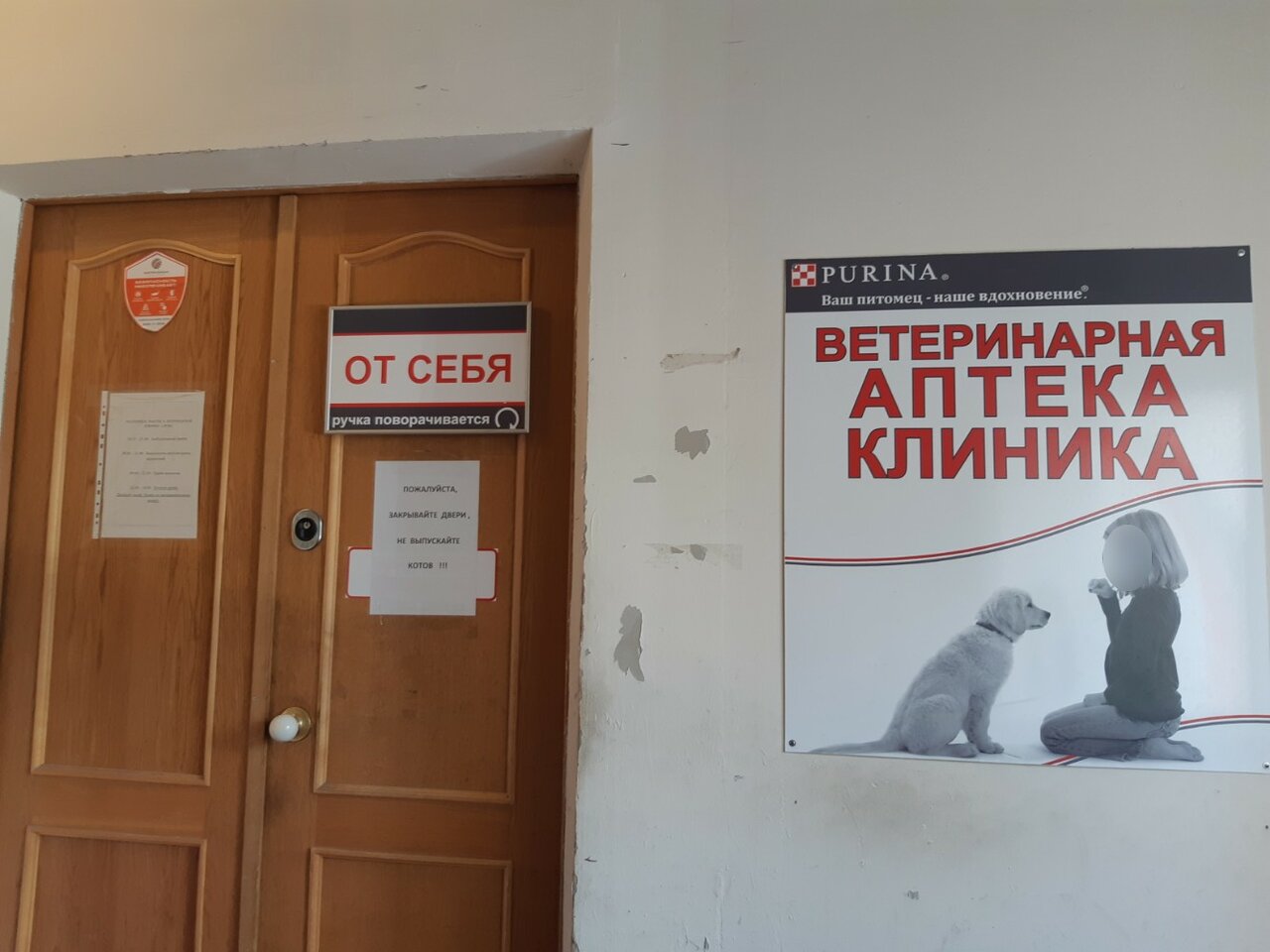 Фото клиники 66358