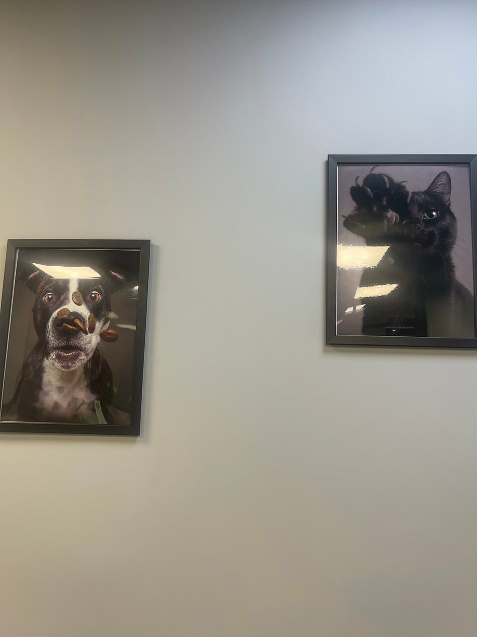 more clinic photos 2049