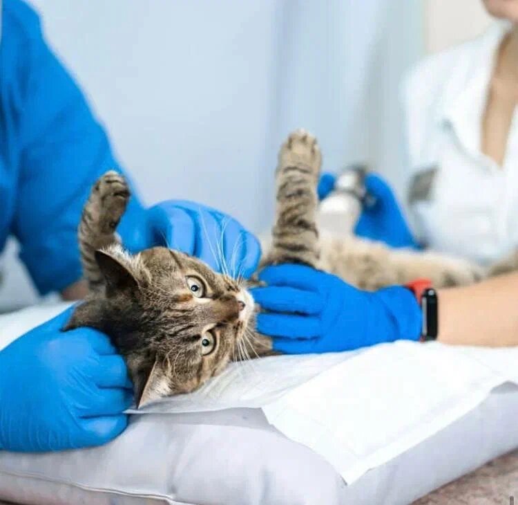 clinic general image