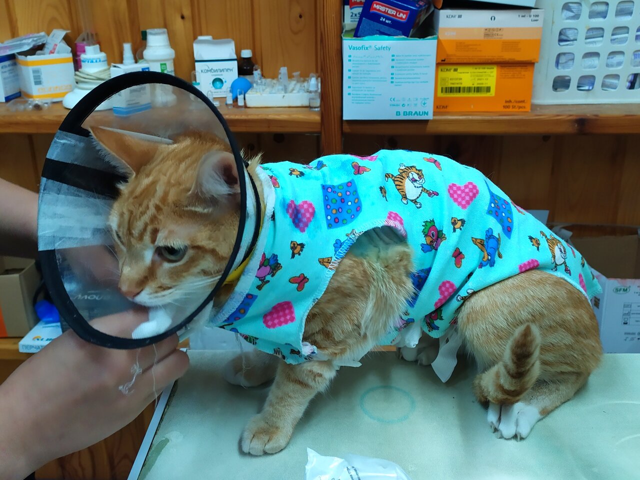 Здоровый друг