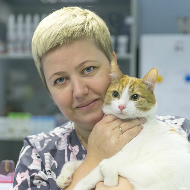 more clinic photos 37710