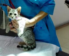 clinic general image