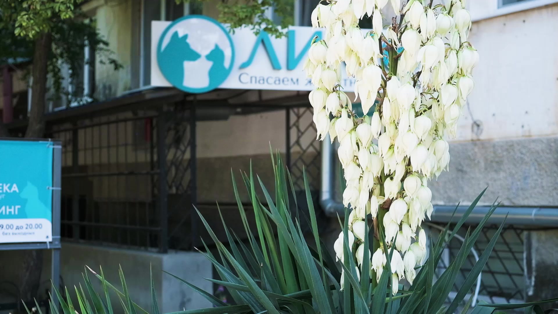 clinic general image