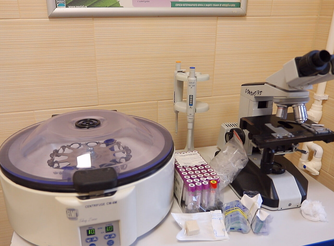 more clinic photos 41520