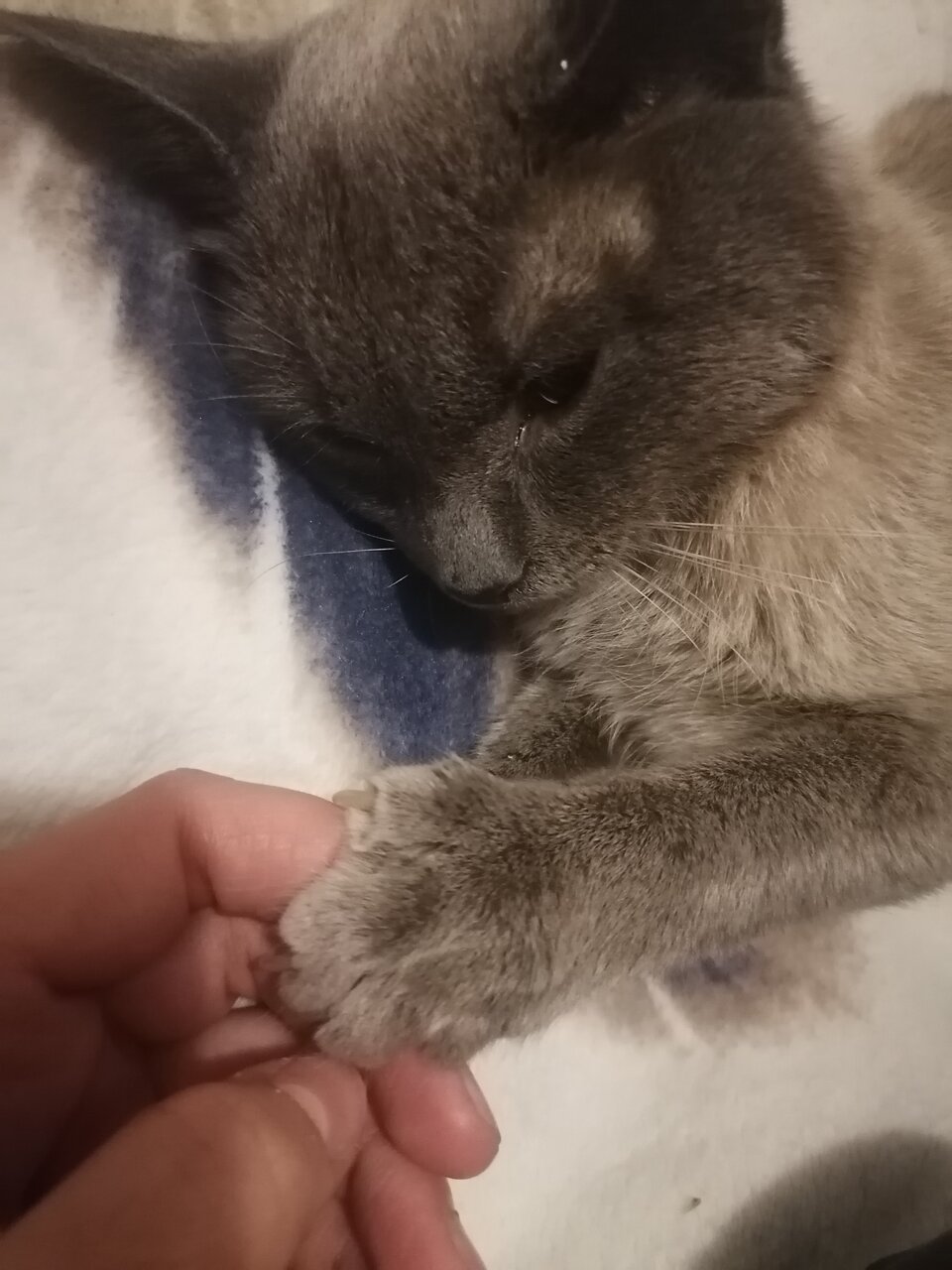 more clinic photos 71951