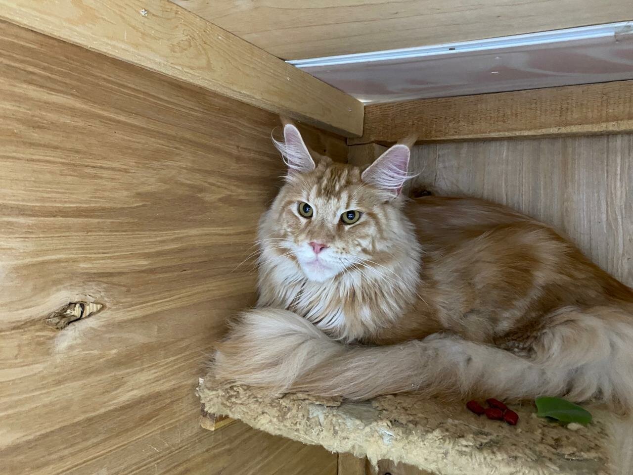 clinic general image