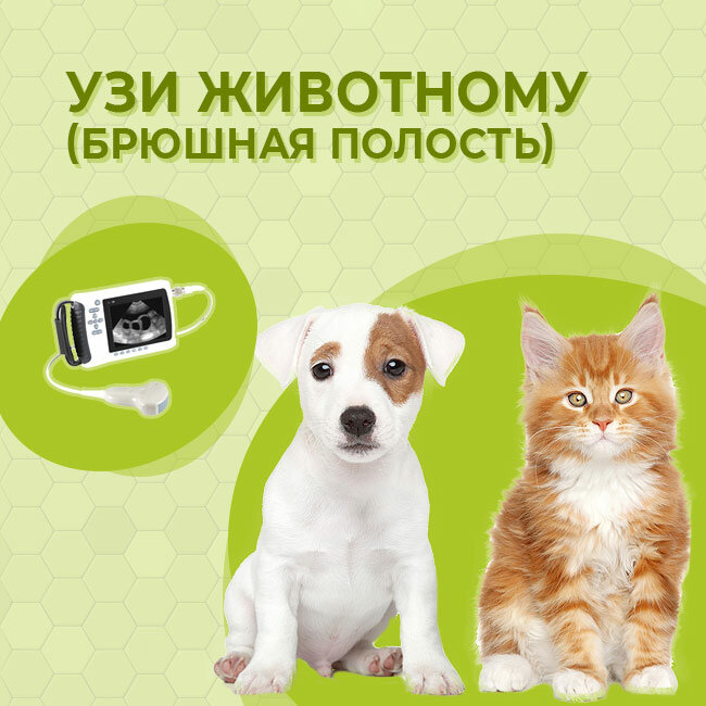 Главное фото клиники