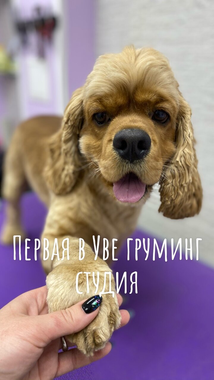 Фото клиники 42229